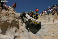 Prorock farmington 1133wtmk