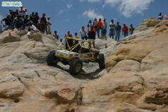 Prorock farmington 591wtmk