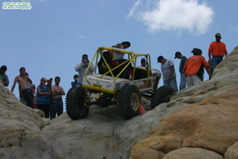 Prorock farmington 593wtmk