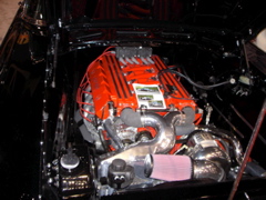 DSC02716.JPG